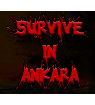 Survive in Ankara Steam Key GLOBAL
